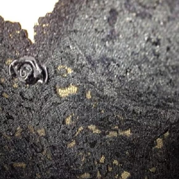 Frederick's of Hollywood 34 Strapless Backless Bra Lightly Lined Black 9805 $48 - Picture 3 of 3